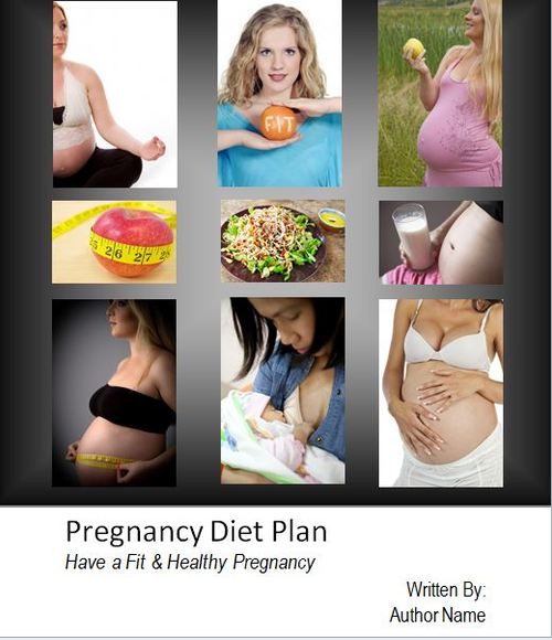 Product picture Pregnancy Diet Plan With PLR