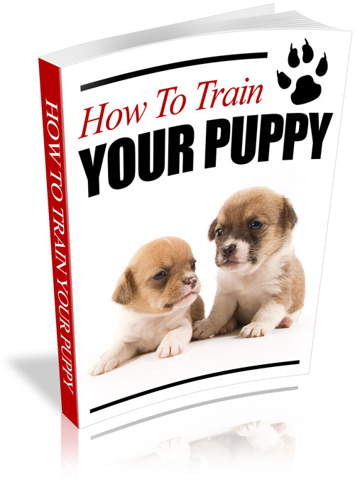Product picture How To Train Your Puppy With PLR