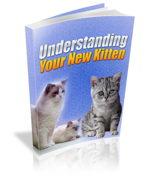 Product picture Understanding Your New Kitten With PLR